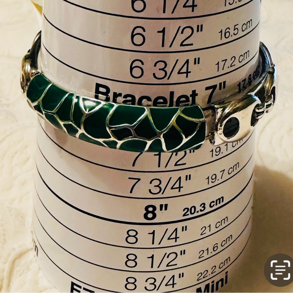 Green Scaled Bracelet With Silver Clasp - New